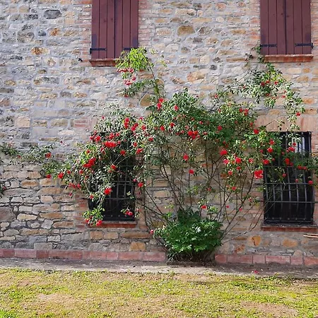 Stanza Singola Degli Iris * Groppovisdomo