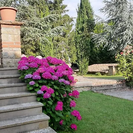 Stanza Singola Degli Iris Groppovisdomo