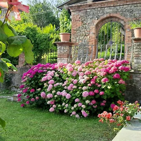 Homestay szállás Stanza Singola Degli Iris *
